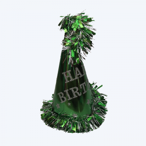 aphnepal.com